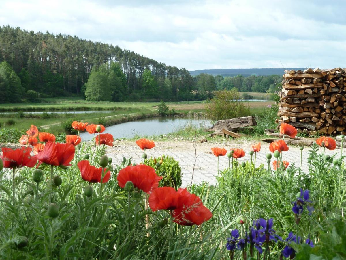 Ferienwohnungen Am Buechlhof Im Oberpfaelzer Seenland Neunburg vorm Wald Exterior photo
